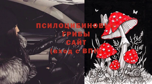 МДМА Белокуриха