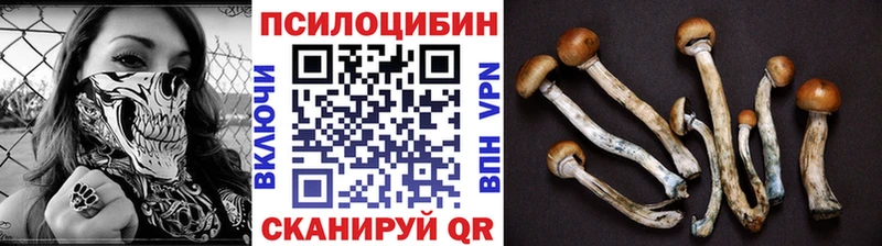 купить наркотики цена  Шумиха  Псилоцибиновые грибы MAGIC MUSHROOMS 